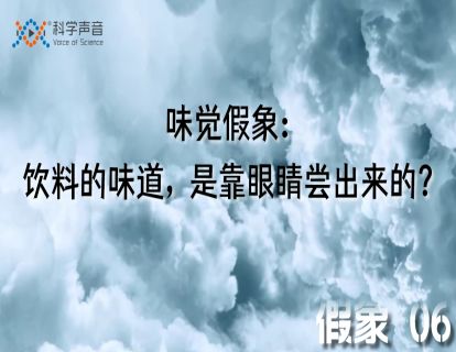 假象 06：味觉假象