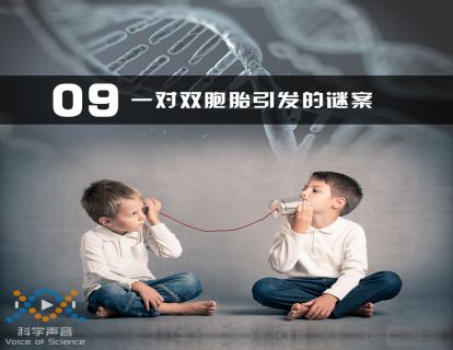 09 一对双胞胎引发的谜案