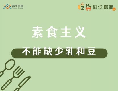 17 素食主义：你可以不吃肉，但不能缺少乳和豆