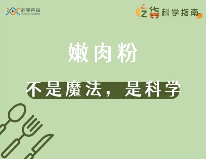 15 嫩肉粉：不要怕，这不是魔术，是科学