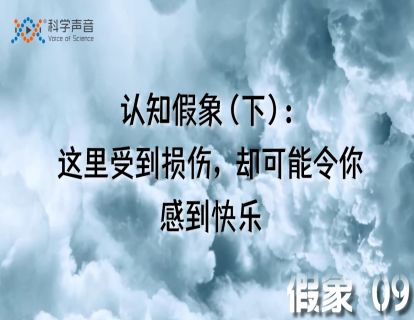 假象 09：认知假象（下）