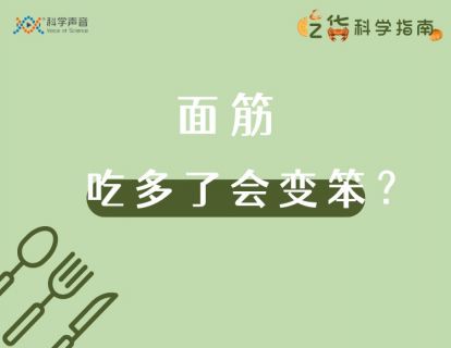 08 面筋：北方人吃多了真的会比南方人笨吗？