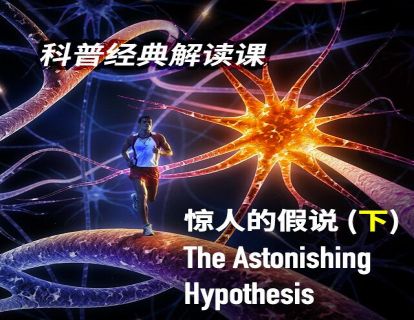 20 《惊人的假说》下