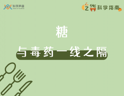 01 糖：与毒药仅仅只是一线之隔