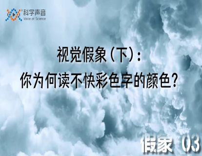 假象 03：视觉假象（下）