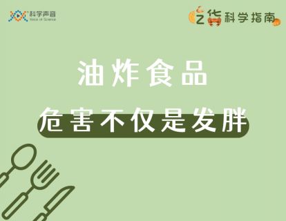13 油炸食品：它的危害不仅仅是发胖