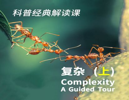 13 《复杂》上