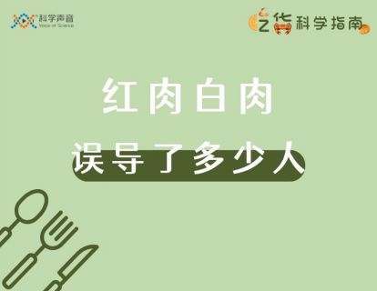 12 红肉白肉：这两个名词误导了多少人