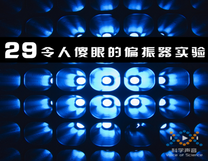 29 令人傻眼的偏振器实验