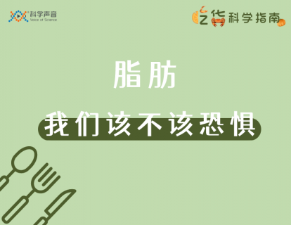 05 脂肪：我们到底该不该恐惧？