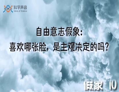 假象 10：自由意志假象