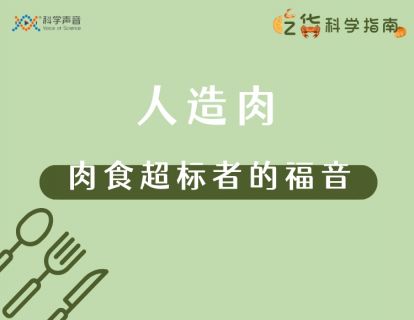18 人造肉：肉食超标者的福音