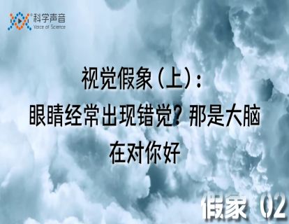 假象02：视觉假象（上）