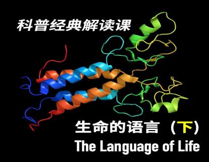 22 《生命的语言》下