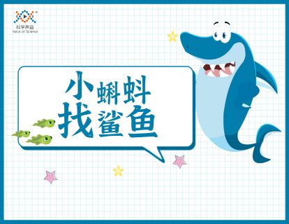 07 小蝌蚪找鲨鱼（查找信源，能帮助分析真假）