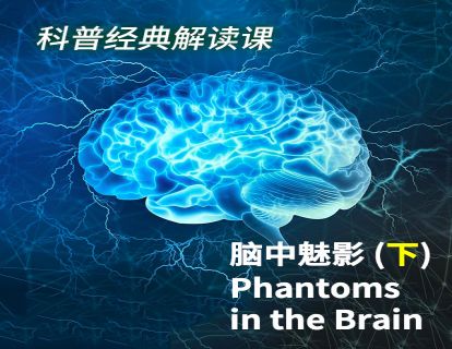 16 《脑中魅影》下
