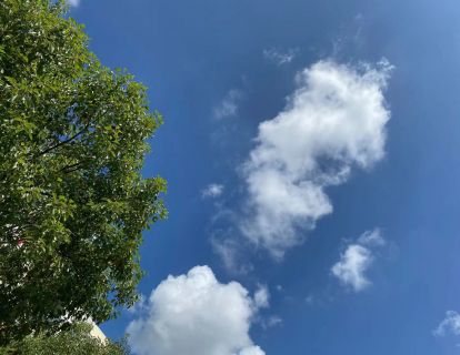 102-皮特林奇的成长股投资体系分析