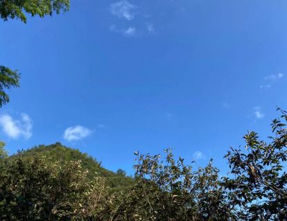 101-巴菲特体系对成长股投资的指导意义