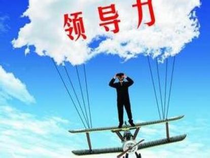 绩效模式之领导力五级评估