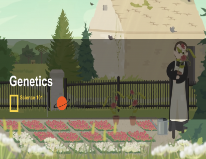 2.基因科学 Genetics