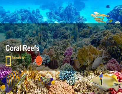 4.珊瑚礁 coral reefs