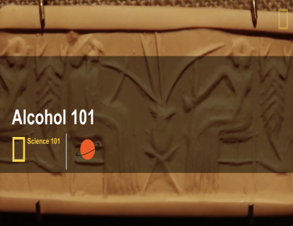 8. 酒精 alcohol