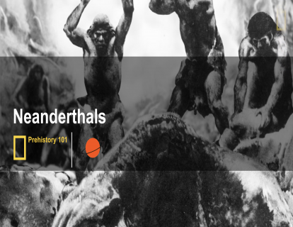 8. 尼安德特人 Neanderthals