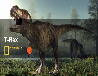3. 暴龙 T-Rex