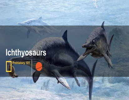 4. 鱼龙 Ichthyosaur