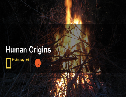 7. 人类起源 human origins
