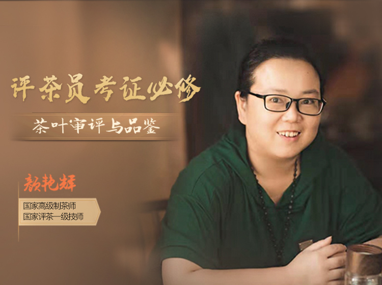 评茶员入门必修课：茶叶审评与品鉴