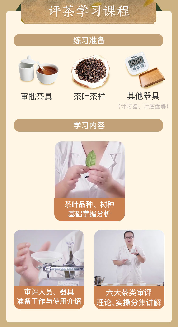 评茶员入门必修课：茶叶审评与品鉴
