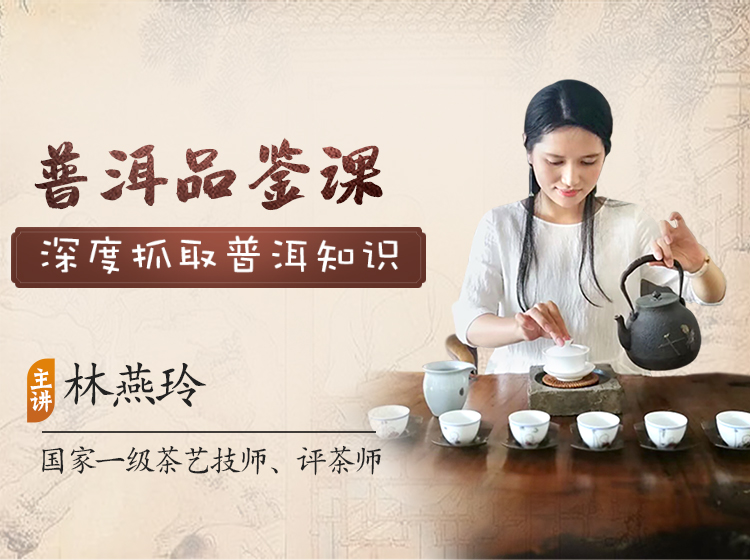 品鉴中国茶之『普洱茶品鉴』