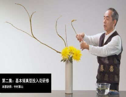 第二集：基本倾真型投入花——中村草山