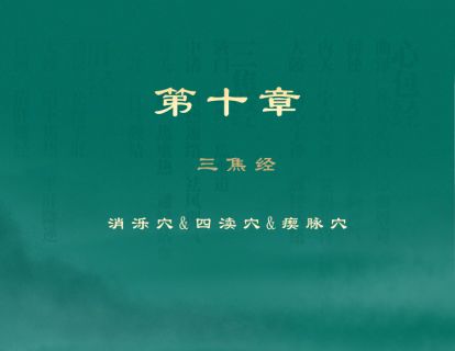 第十章 三焦经 ⑥消泺穴、四渎穴、瘈脉穴