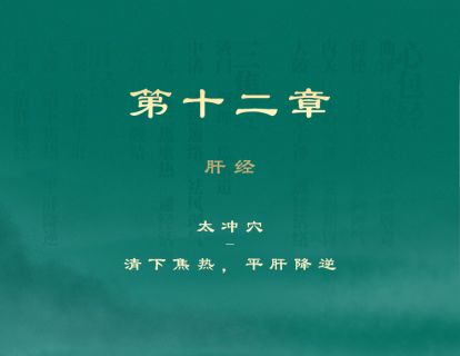 第12章 肝经 ②太冲穴-清下焦热，平肝降逆