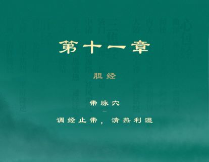 第十一章 胆经 ②带脉穴-调经止带，清热利湿