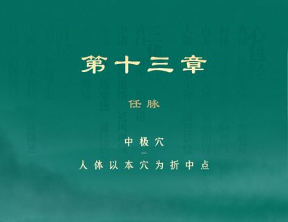 第13章 任脉 ②中极穴：人体以本穴为折中点