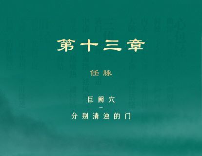 第13章 任脉 ⑥巨阙穴-分别清浊的门