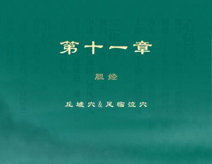 第十一章 胆经 ⑤丘墟穴、足临泣穴
