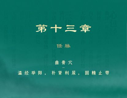 第13章 任脉 ①曲骨穴-温经举阳，补肾利尿，固精止带