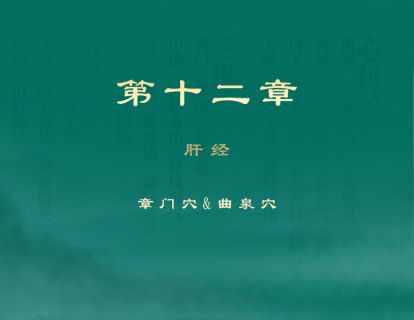 第12章 足厥阴肝经 ①章门穴、曲泉穴
