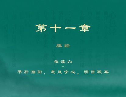 第十一章 胆经 ⑥侠溪穴-平肝潜阳，息风宁心，明目聪耳