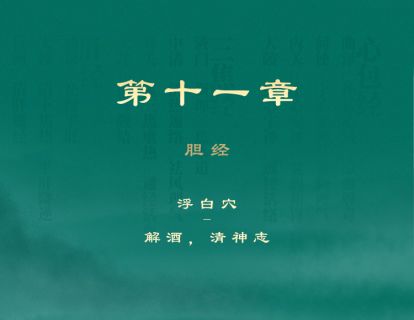 第十一章 胆经 ①浮白穴-解酒，清神志