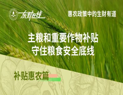 补贴惠农篇—主粮和重要作物补贴，守住粮食安全底线