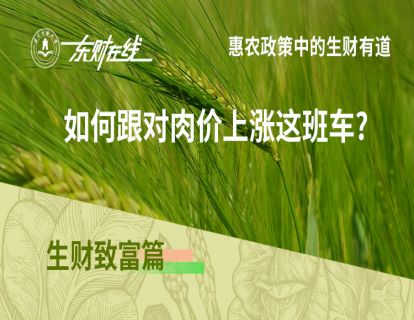 生财致富篇—如何跟对肉价上涨这班车?