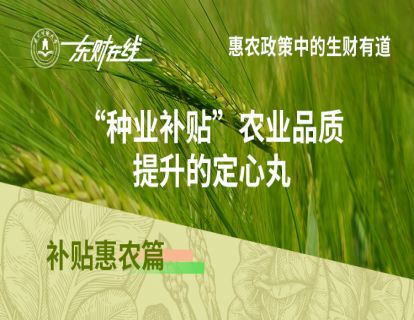 补贴惠农篇—“种业补贴”农业品质提升的定心丸