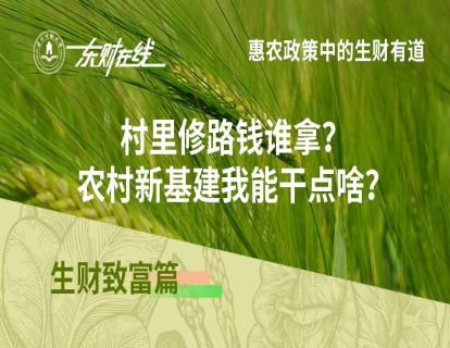 生财致富篇—村里修路钱谁拿？农村新基建我能干点啥？