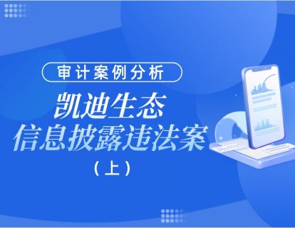审计案例分析—凯迪生态信息披露违法案（上）