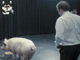 【黑镜】S1E1《国歌》